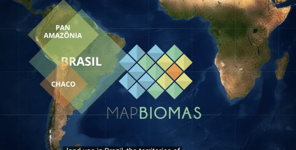 MapBiomas Network